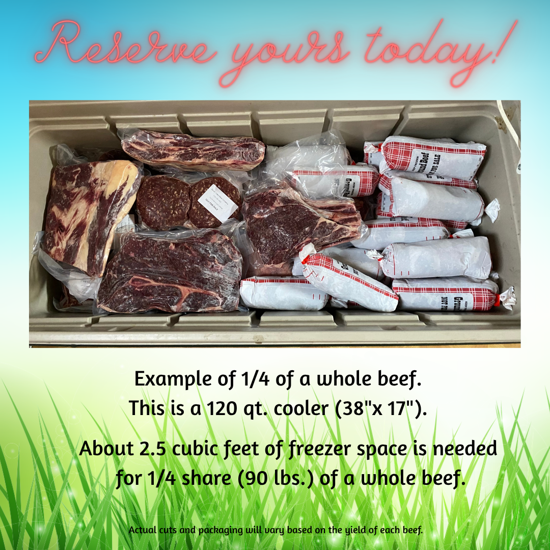1/4 Beef Share $500 DEPOSIT ONLY DECEMBER 2025 (Grass-fed, approx. 90 lbs. of beef)